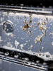 bug_bye_500ml_1543x2047px_use3.png